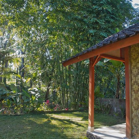 Tereng Wilis Jungle Inn Tetebatu Eksteriør bilde