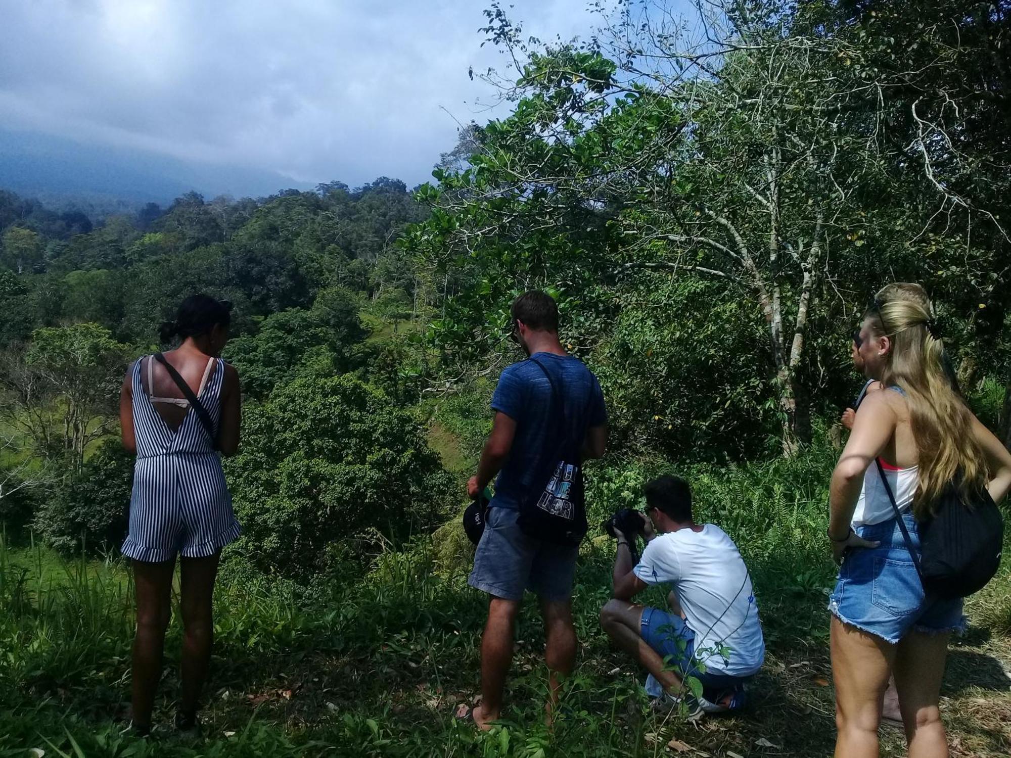 Tereng Wilis Jungle Inn Tetebatu Eksteriør bilde