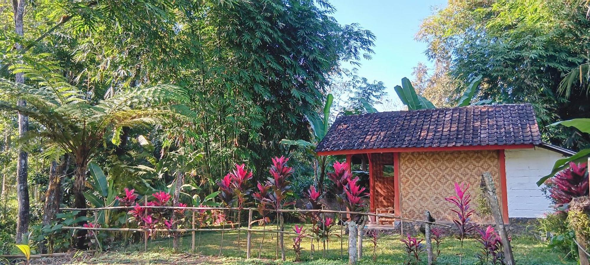 Tereng Wilis Jungle Inn Tetebatu Eksteriør bilde