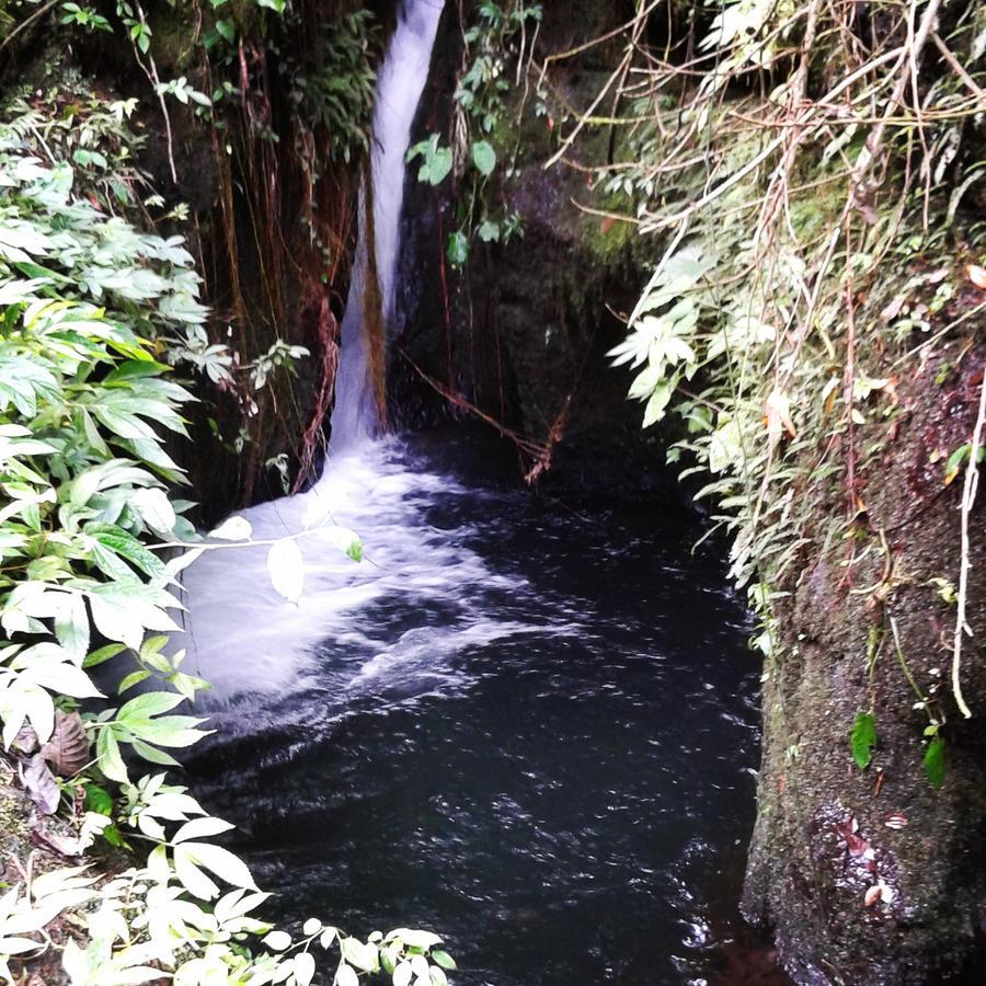 Tereng Wilis Jungle Inn Tetebatu Eksteriør bilde