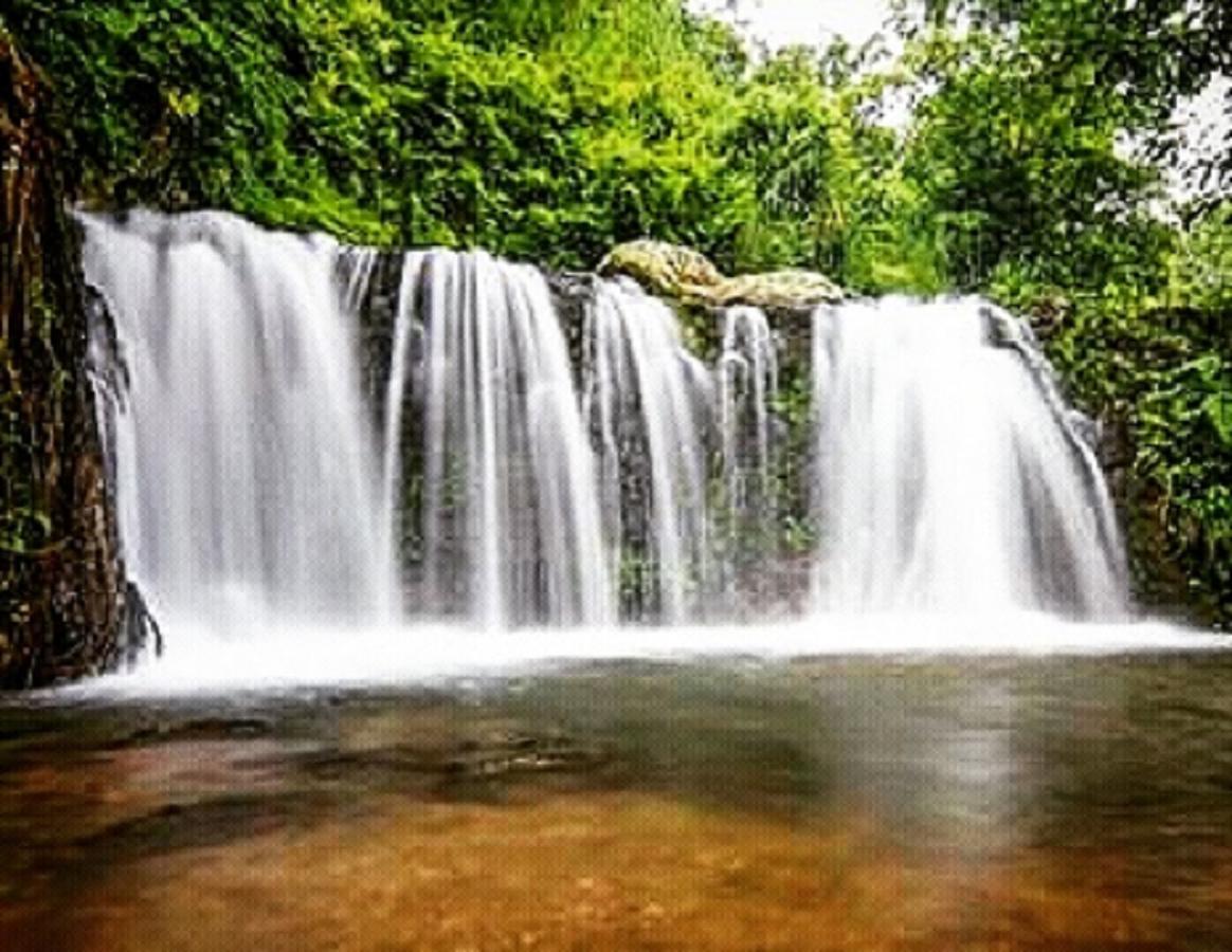 Tereng Wilis Jungle Inn Tetebatu Eksteriør bilde