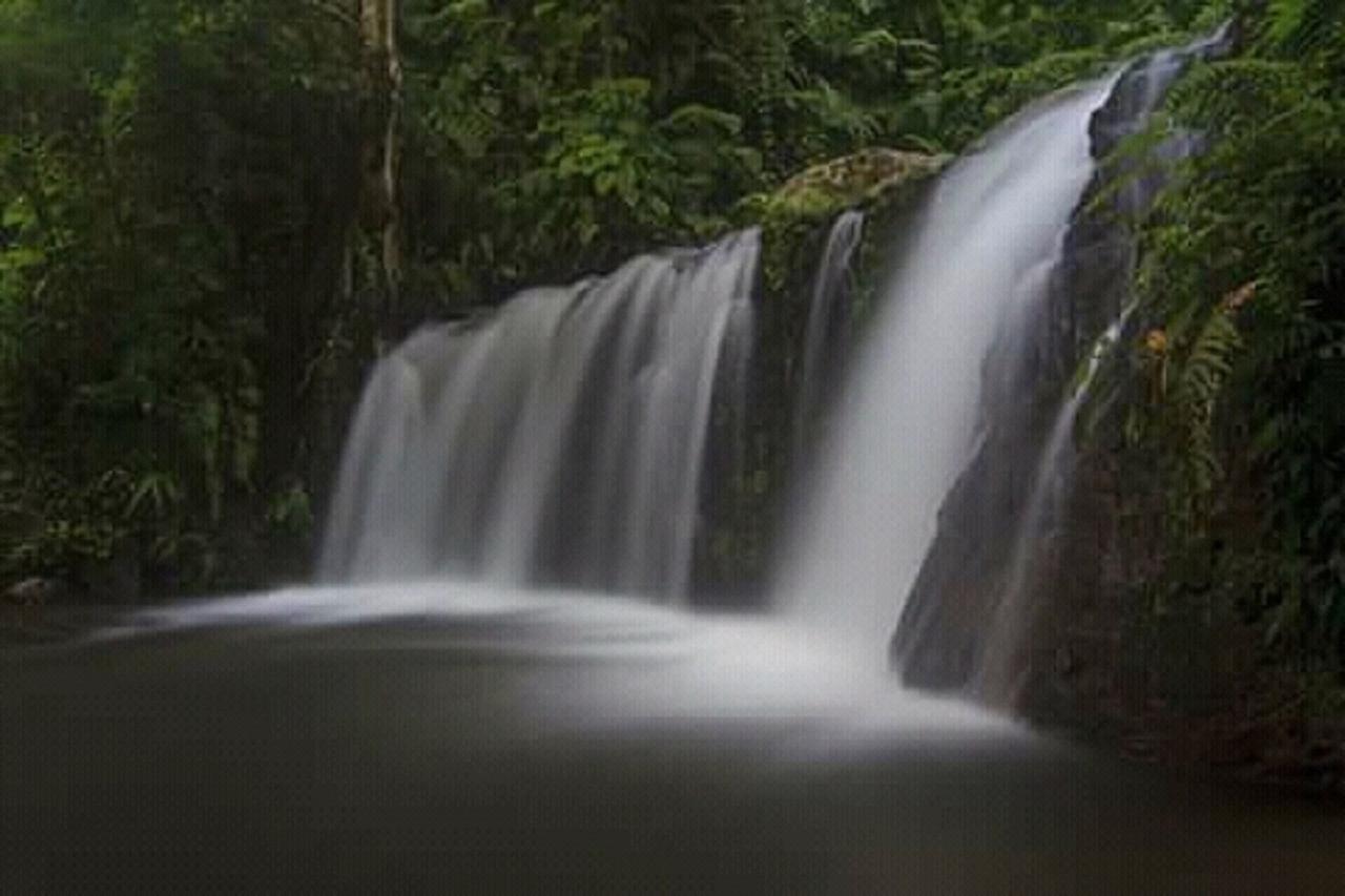 Tereng Wilis Jungle Inn Tetebatu Eksteriør bilde