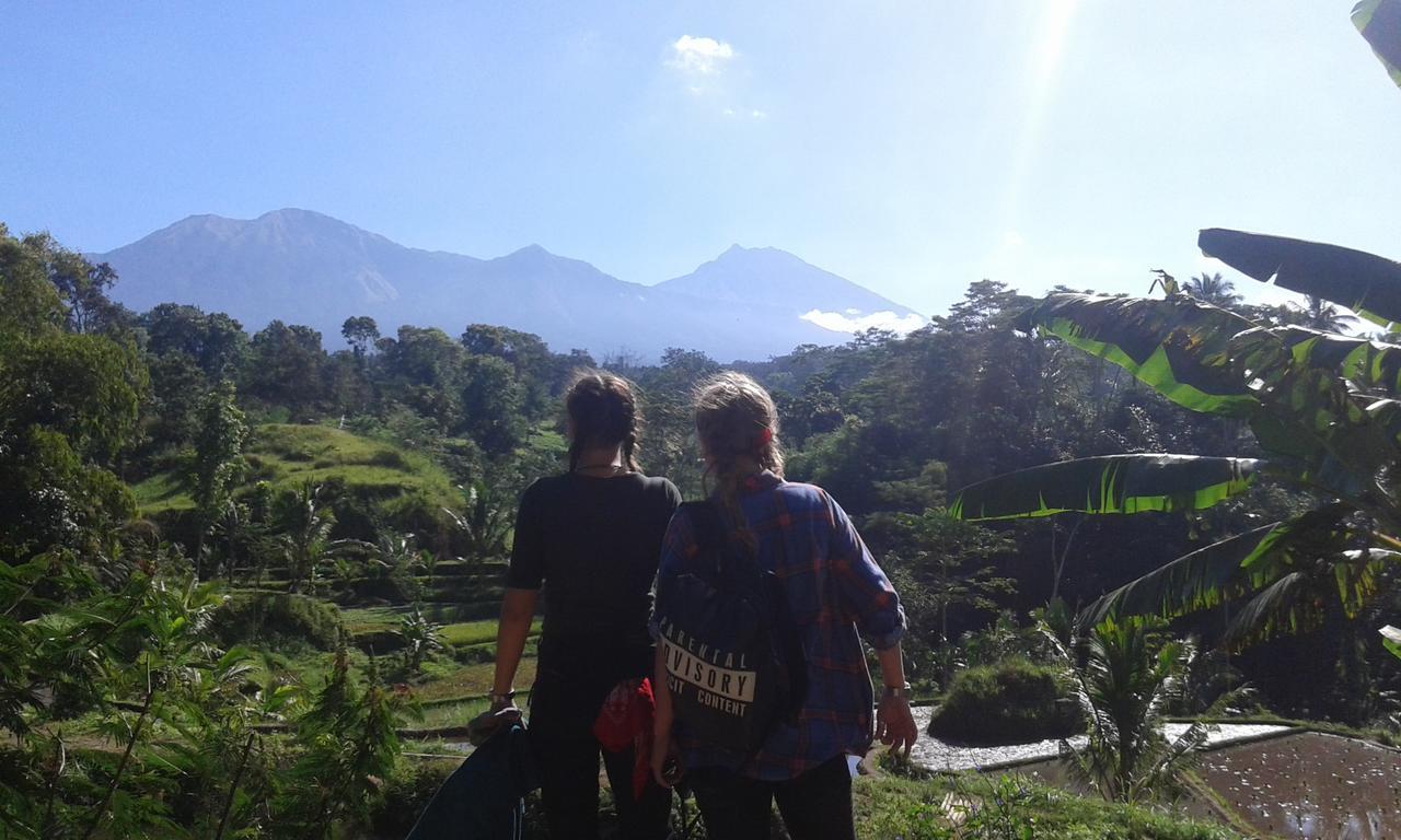 Tereng Wilis Jungle Inn Tetebatu Eksteriør bilde