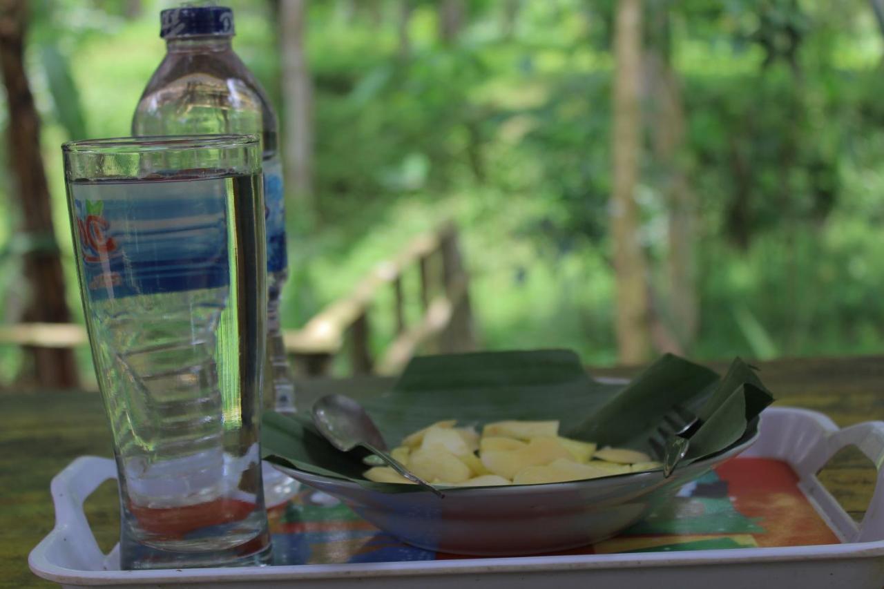 Tereng Wilis Jungle Inn Tetebatu Eksteriør bilde