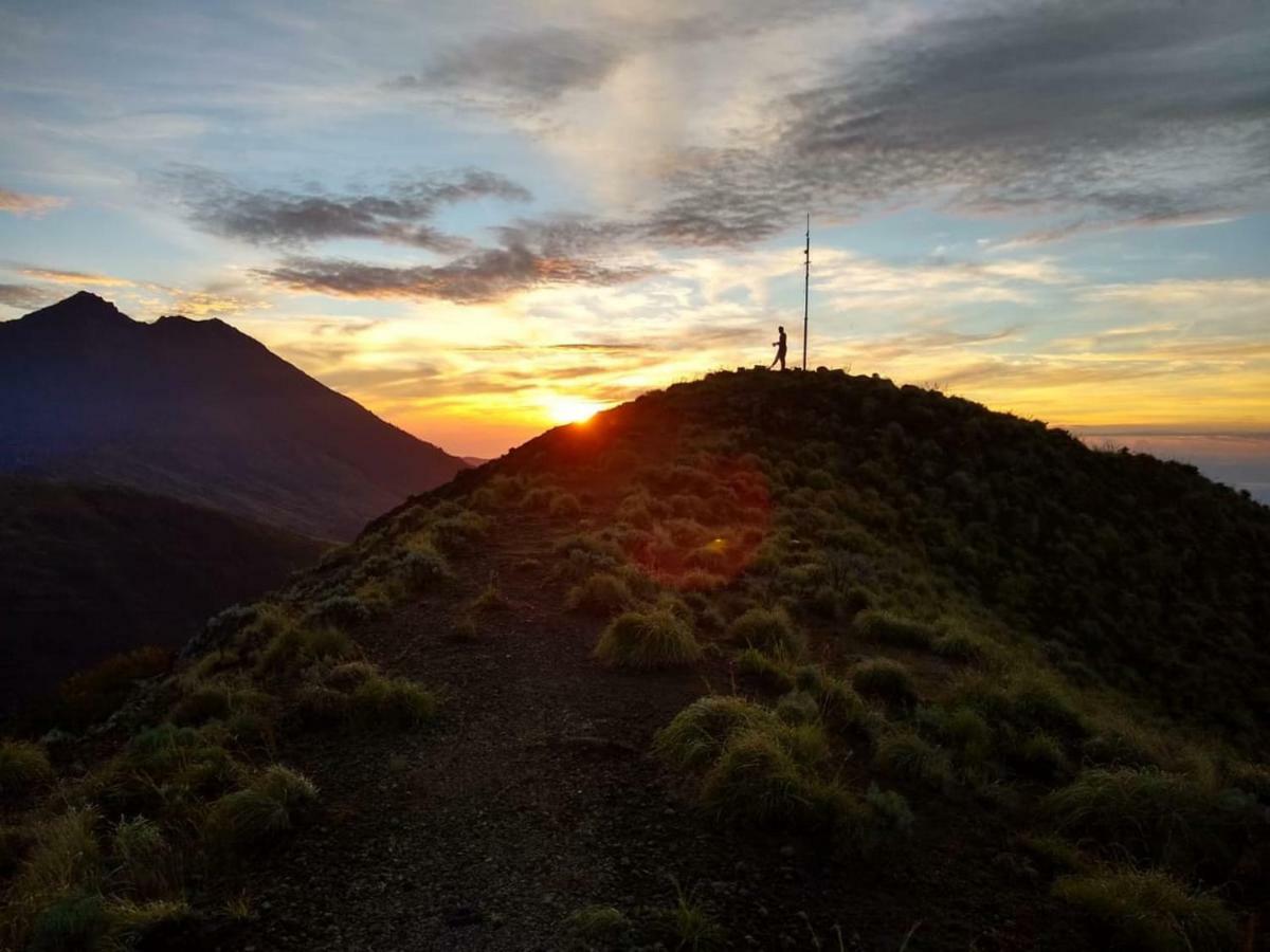 Tereng Wilis Jungle Inn Tetebatu Eksteriør bilde