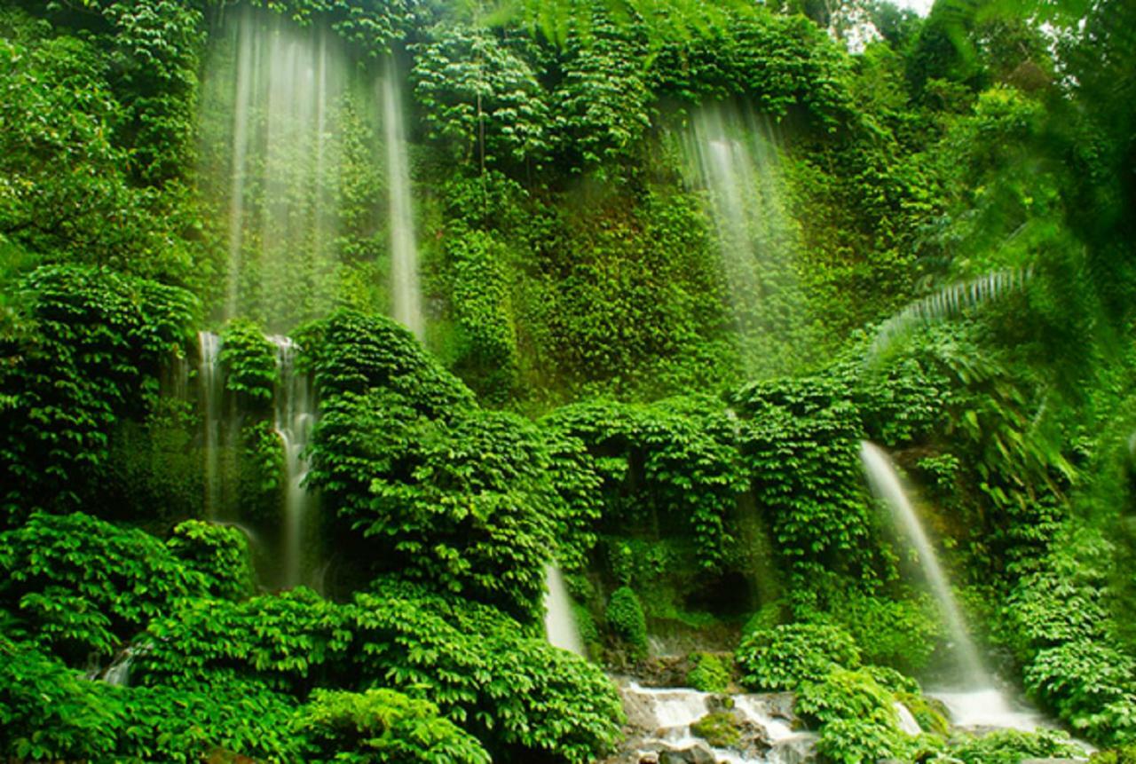 Tereng Wilis Jungle Inn Tetebatu Eksteriør bilde