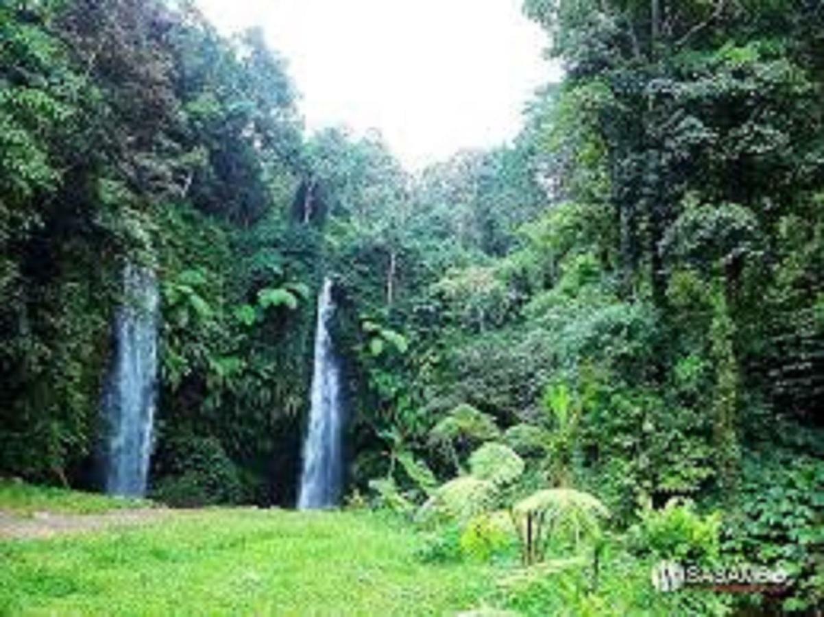 Tereng Wilis Jungle Inn Tetebatu Eksteriør bilde