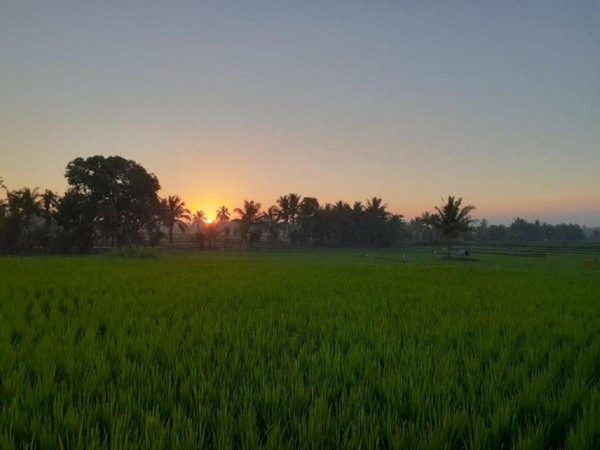 Tereng Wilis Jungle Inn Tetebatu Eksteriør bilde
