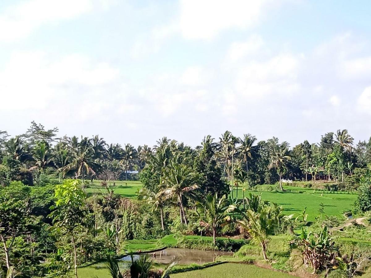 Tereng Wilis Jungle Inn Tetebatu Eksteriør bilde