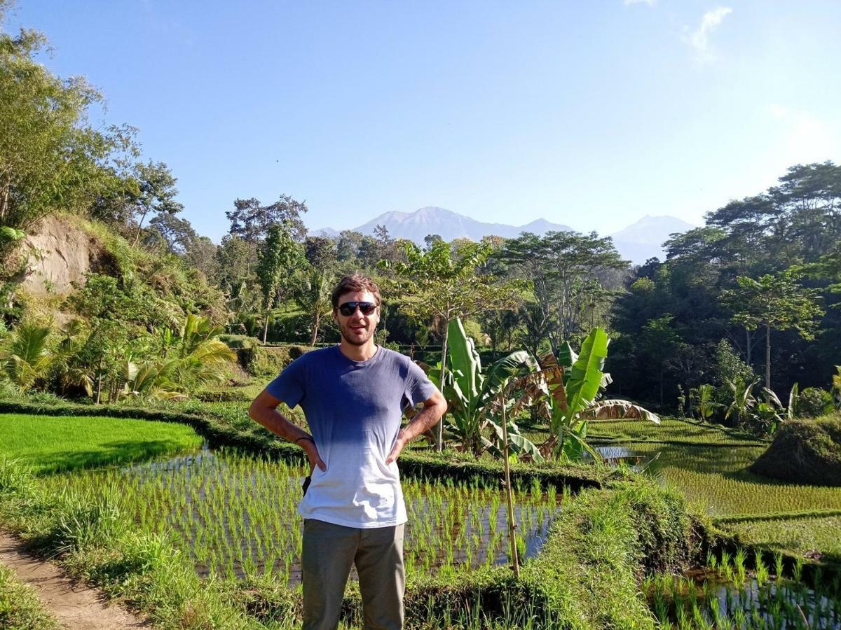 Tereng Wilis Jungle Inn Tetebatu Eksteriør bilde